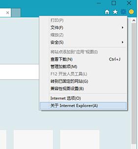 win10系统如何禁止IE浏览器自动更新