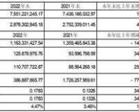 宁夏银星能源股份有限公司2022年度报告摘要