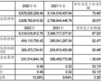 烟台正海磁性材料股份有限公司2022度报告摘要