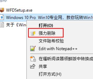 Win10使用Wise Force Deleter删除文件的方法