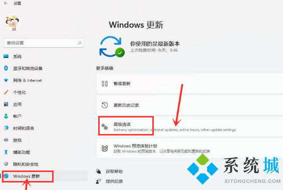 Win11如何开启传递优化功能 win11传递优化功能开启方式