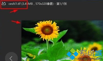 TIF格式用什么打开？win10打开TIF格式的详细步骤