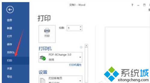 Win10系统使用Word2013出现无法打印图片问题怎么办