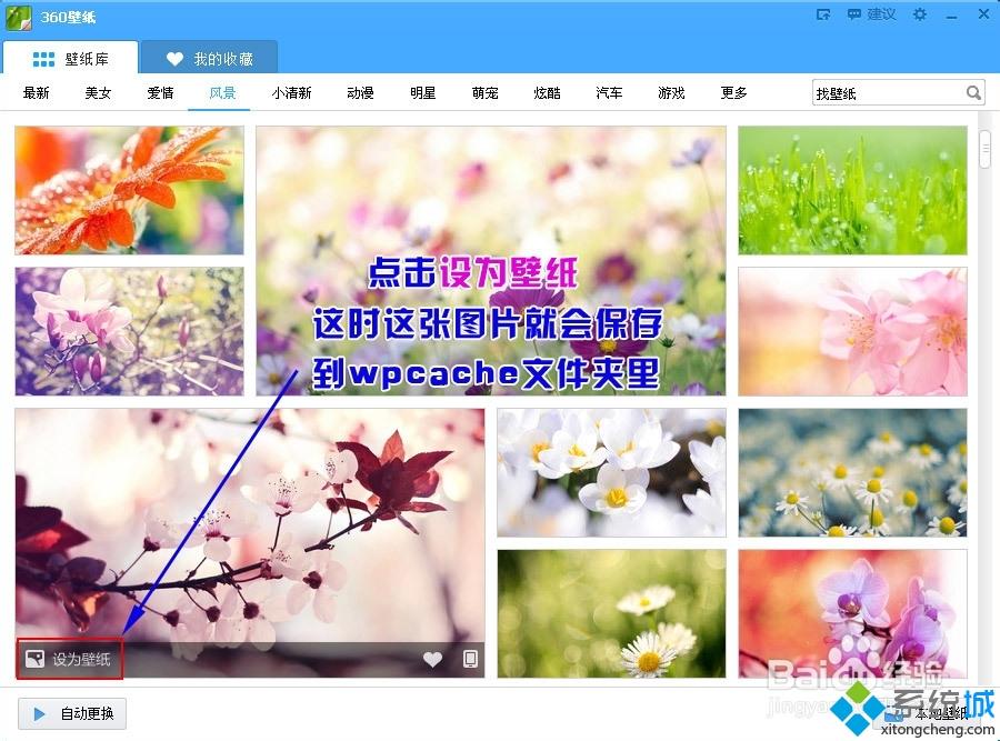 XP系统如何自动批量下载360壁纸