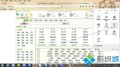 xp系统下怎样搜狐浏览器窗口全屏显示