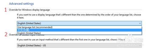 Windows10系统中文版变成英文版如何解决