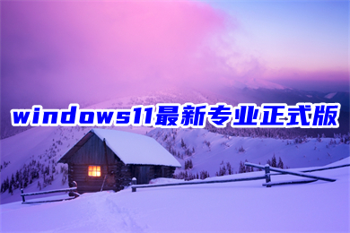 windows11最新专业正式版系统下载 22H2 win11官网优化版镜像文件下载