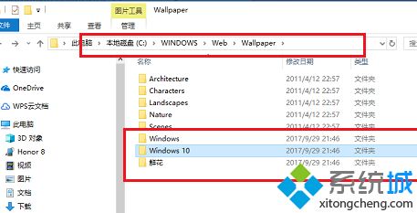 win10主题在哪个文件夹？寻找win10主题文件夹的方法