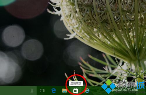 Windows10系统如何安装带有语音翻译、拍照翻译功能的软件