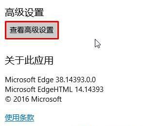 Win10 Edge浏览器如何设置bing为默认搜索引擎