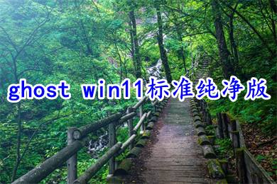 ghost win11标准纯净版系统下载 win11 64位中文纯净版镜像下载