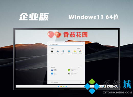 win11稳定企业版64位系统下载 win11旗舰改良版iso镜像下载