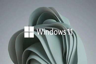 windows11怎么分区硬盘 windows11新电脑怎么分区