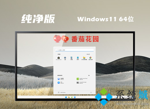 纯净win11镜像系统下载 windows11纯净版系统百度网盘下载