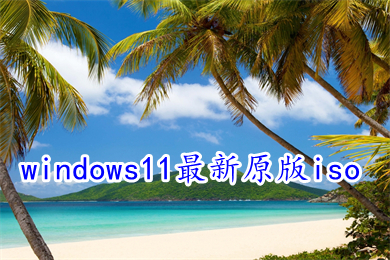 windows11最新原版iso下载 win11官方中文最新版镜像文件下载