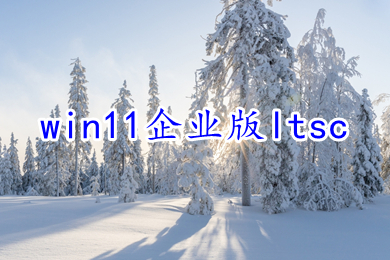 win11企业版ltsc系统下载 windows11改良企业通用版镜像下载