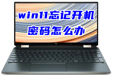 win11忘记开机密码怎么办 win11登陆pin码忘记了的解决教程