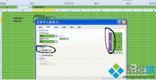 windows10系统下excel2010怎样将文字反转