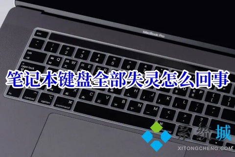 笔记本键盘全部失灵怎么回事 笔记本键盘被锁住了的解决方法