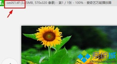 TIF格式用什么打开？win10打开TIF格式的详细步骤