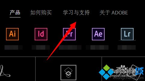 win10安装新版flash出现故障无法安装怎么办