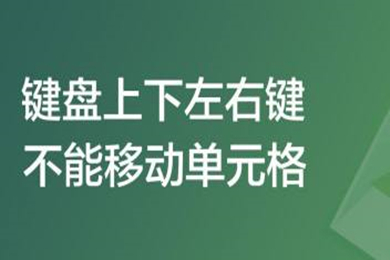 键盘上下左右键不能移动单元格怎么办 具体解决方法介绍