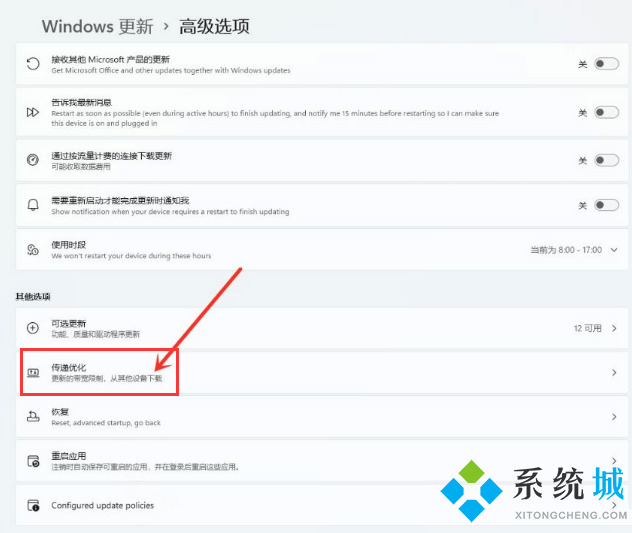 Win11如何开启传递优化功能 win11传递优化功能开启方式