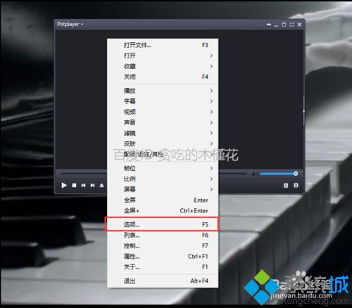 windows10系统下如何设置PotPlayer播放器