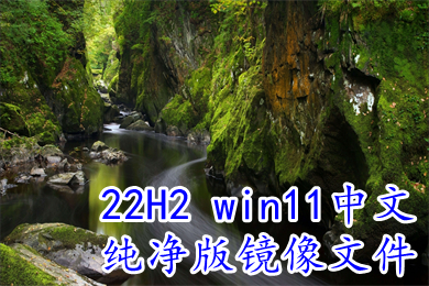 22H2 win11中文纯净版镜像文件下载 win11精简ghost纯净体验版下载