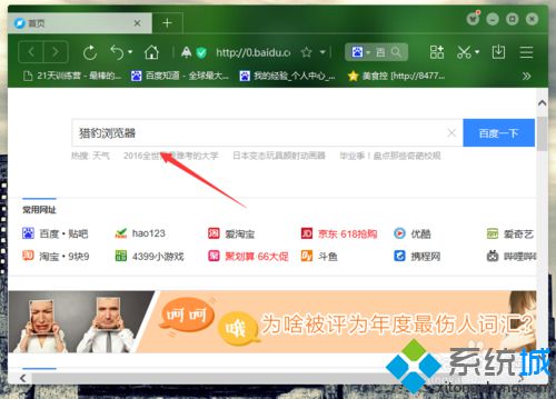 win10系统如何安装猎豹浏览器