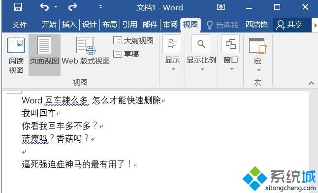 windowsxp系统快速删除word文档中回车符的方法