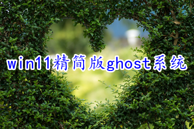 win11精简版ghost系统下载 最新64位win11精简纯净版ltsc下载