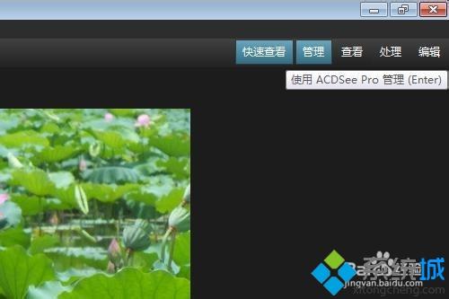 win10系统用ACDSee看图软件快速浏览管理图片文件夹的方法