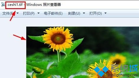 TIF格式用什么打开？win10打开TIF格式的详细步骤