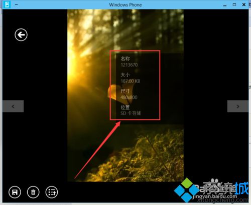 win10系统怎么管理wp手机？windows10管理wp手机的方法