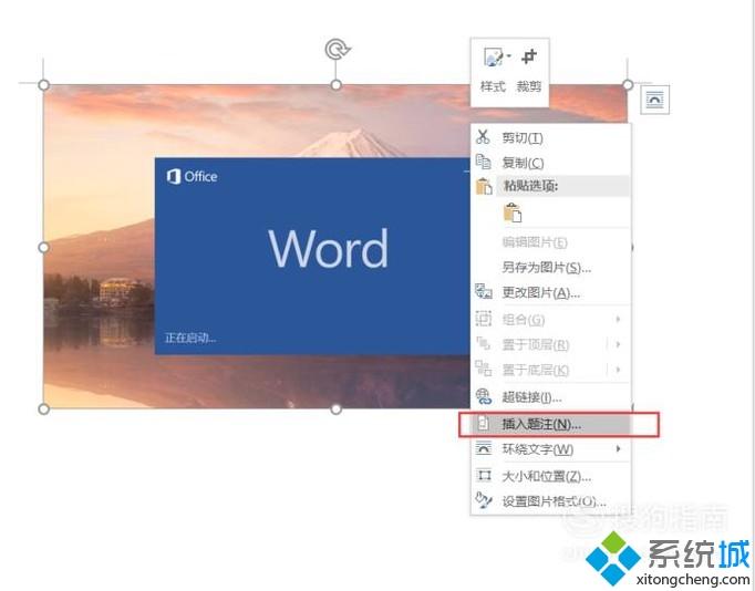 windows10系统下word怎样添加图注