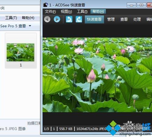 win10系统用ACDSee看图软件快速浏览管理图片文件夹的方法