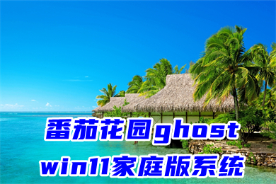 番茄花园ghost win11家庭版系统下载 win11系统64位免激活下载