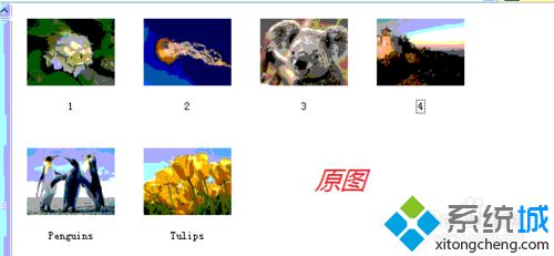 WindowsXP系统下缩略图显示出现异常怎么办【图文教程】