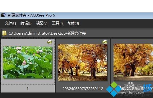 win10系统用ACDSee看图软件快速浏览管理图片文件夹的方法