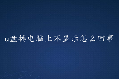 u盘插电脑上不显示怎么回事 u盘插电脑上不显示的解决方法