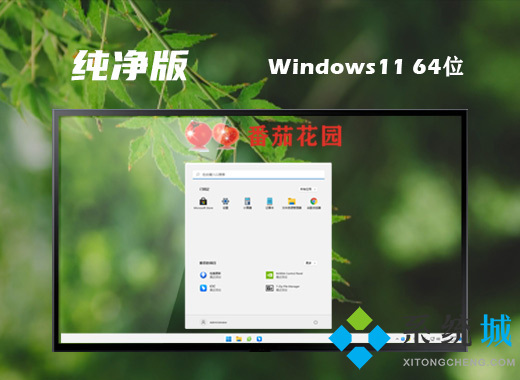 win11纯净版镜像iso文件下载 windows11 ghost纯净版系统下载