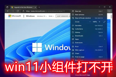 win11小组件打不开怎么办 win11小组件打不开的解决方法