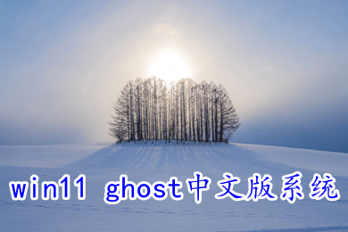 win11 ghost中文版系统下载 windows11最新21H2正式中文版下载