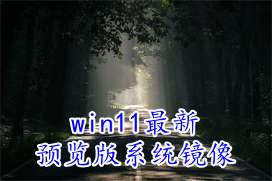 win11最新预览版系统镜像下载 win11 22H2精简中文预览版下载