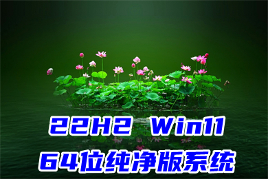 22H2 Win11 64位纯净版系统下载 win11优化纯净版镜像iso文件下载