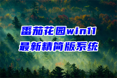 番茄花园win11最新精简版系统下载 win11系统ghost镜像文件下载