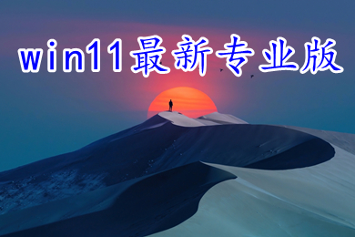 win11最新专业版下载 win11中文专业版镜像系统下载