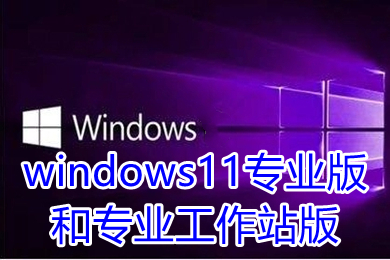 win11专业版和专业工作站版 windows11专业版和专业工作站版系统下载